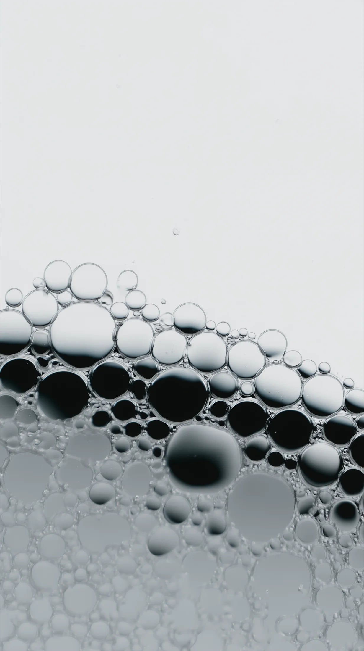 Close-up of bubbles on a gray background