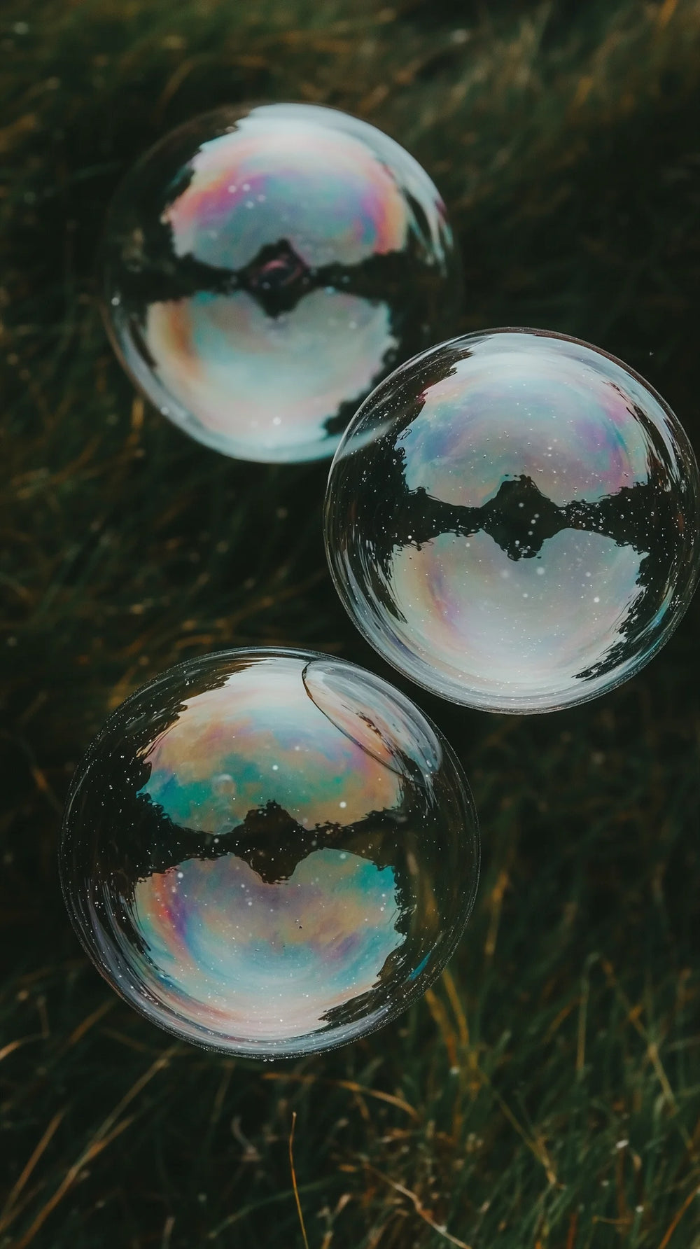 Three iridescent bubbles floating on a grassy surface