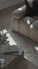 Stylish couch and coffee table